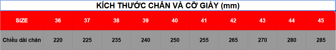 bảng size giầy bảo hộ XP